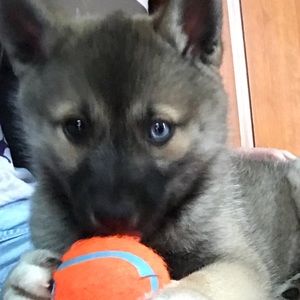 Meet your Posher, Jurnee